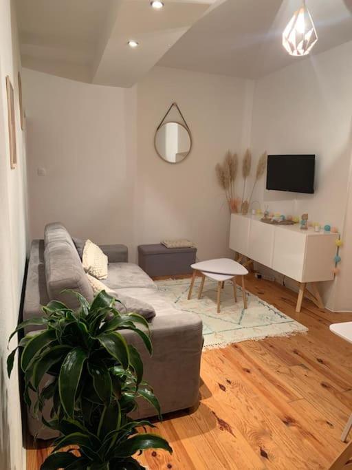 Le Petit Cocon Nimois Apartamento Nîmes Exterior foto